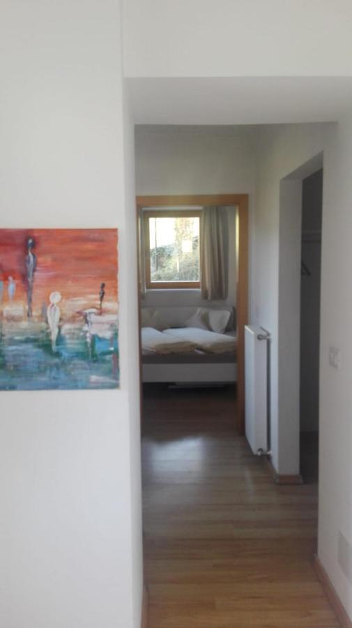 Panorama Residence Schlossblick - Apartments Erdgeschoss ロデンゴ エクステリア 写真